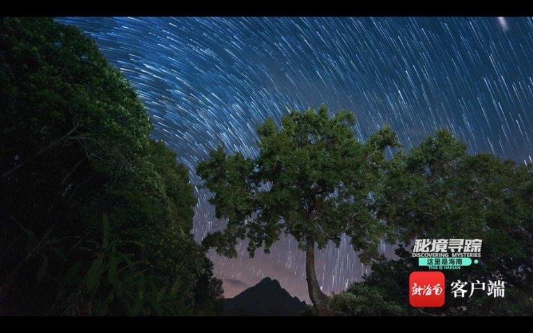 韩庚卢靖姗同框,网友都说韩庚好会找老婆,嫂子大气舒展有涵养
